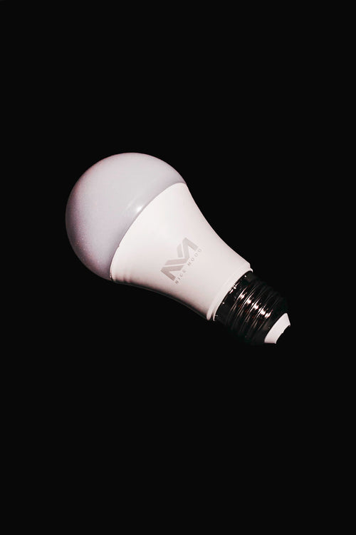 BOMBILLA - LUZ DE ESPECTRO COMPLETO